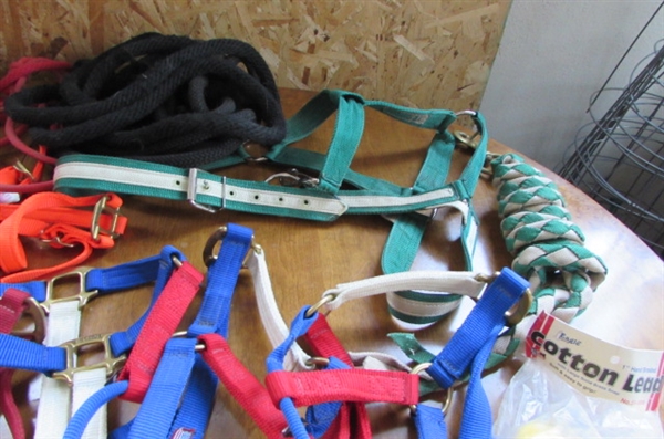 LARGE LOT OF NYLON HALTERS, LEAD ROPES *STABLE HANDS*