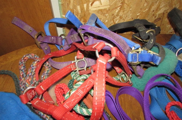 NYLON REINS, HALTERS, LEADS & TRAINING MARTINGALS *STABLE HANDS*