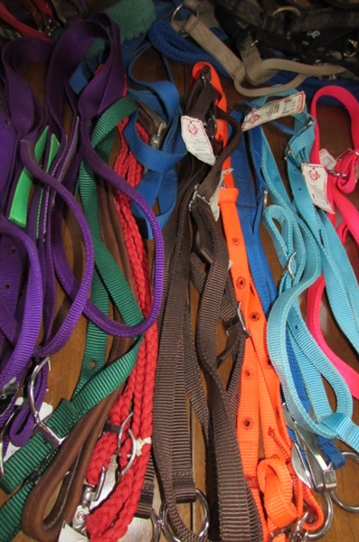 NYLON REINS, HALTERS, LEADS & TRAINING MARTINGALS *STABLE HANDS*