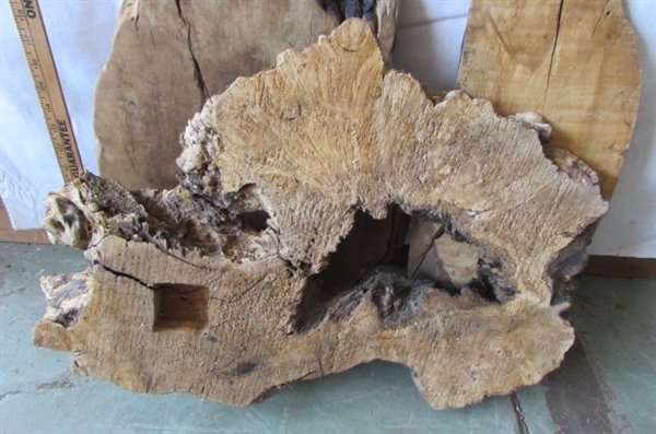2 WOOD BURL PIECES FOR YOUR NEXT WOODWORKING PROJECT