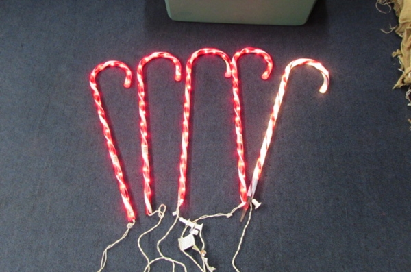 LIGHTED CANDY CANES, ROPE LIGHTS AND MORE