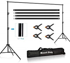 MOUNTDOG 3M x 3M/10 x 10ft Photo Video/Studio Backdrop Background Support Stand & Carrying Bag