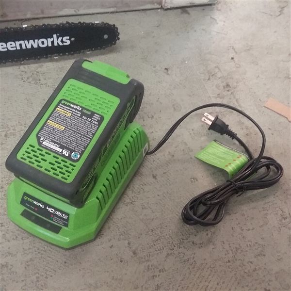 GREENWORKS 12 INCH 40 V CORDLESS CHAINSAW 2.0 BATTERY WITH CHARGER INCLUDED