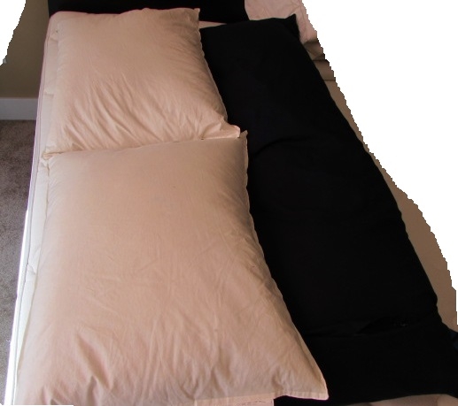 2 IKEA FEATHER PILLOWS AND BODY PILLOW