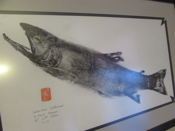 FRAMED PICTURE OF LAHONTAN CUTTHROAT