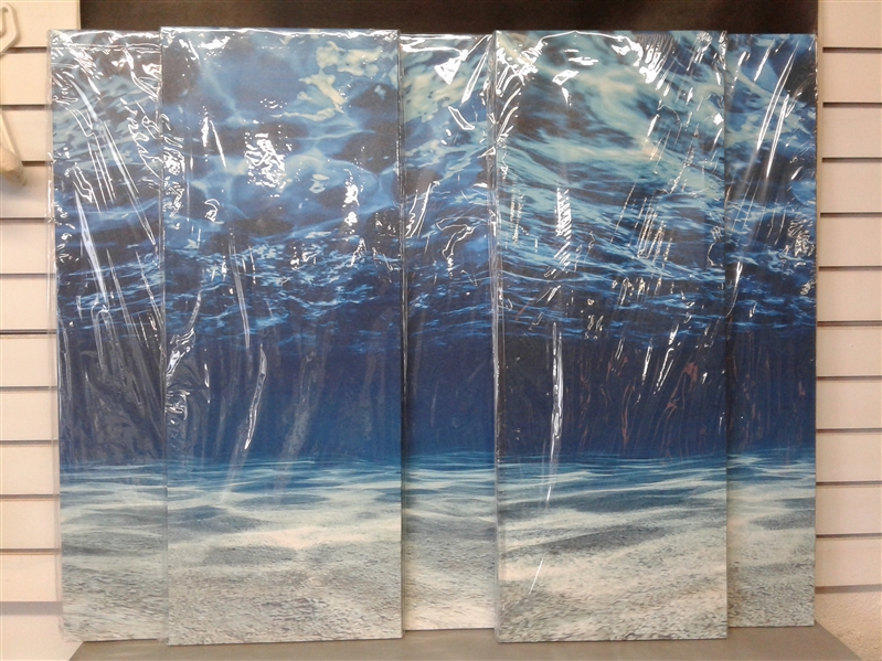 Blue Ocean Bottom Large Canvas Wall Art 5 Piece Set