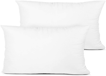 Pillow Insterts 12x20 2 Pack