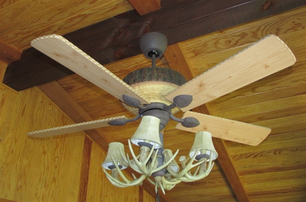 Monte Carlo Ceiling Fan and Light Fixture