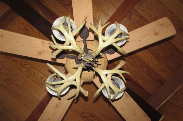 Monte Carlo Ceiling Fan and Light Fixture