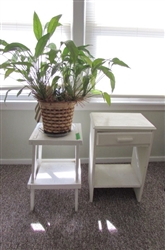 WOOD PLANT STANDS/ACCENT TABLES & LIVE HOUSE PLANT