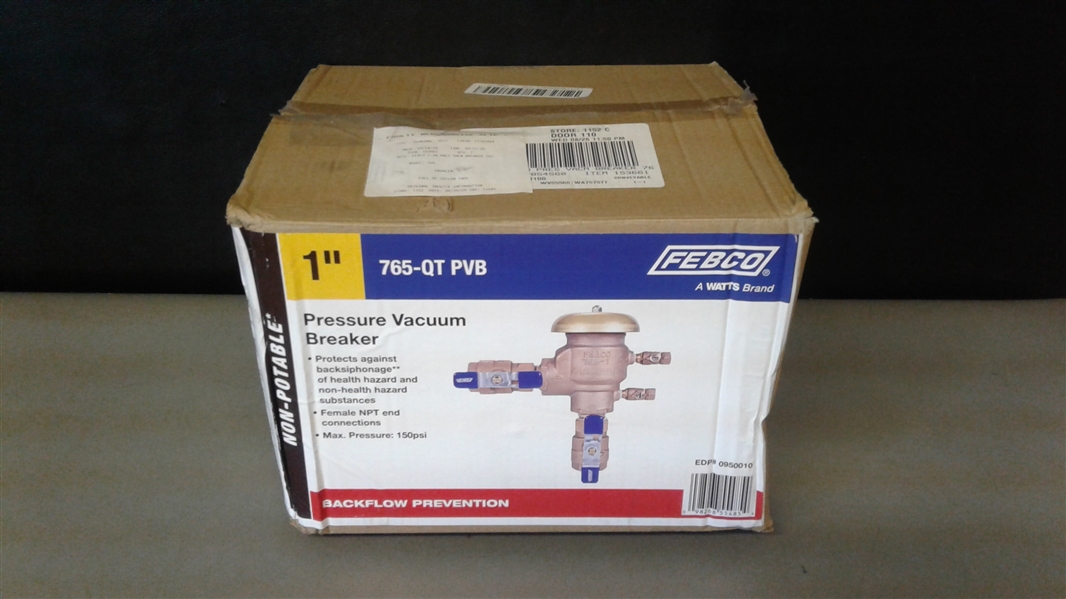  Febco 765-1 BV-Pressure Vacuum Assembly