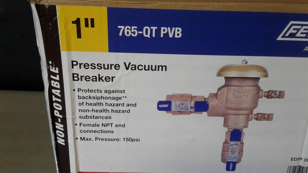  Febco 765-1 BV-Pressure Vacuum Assembly