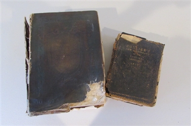 ANTIQUE DICTIONARY AND HEALTH BOOK