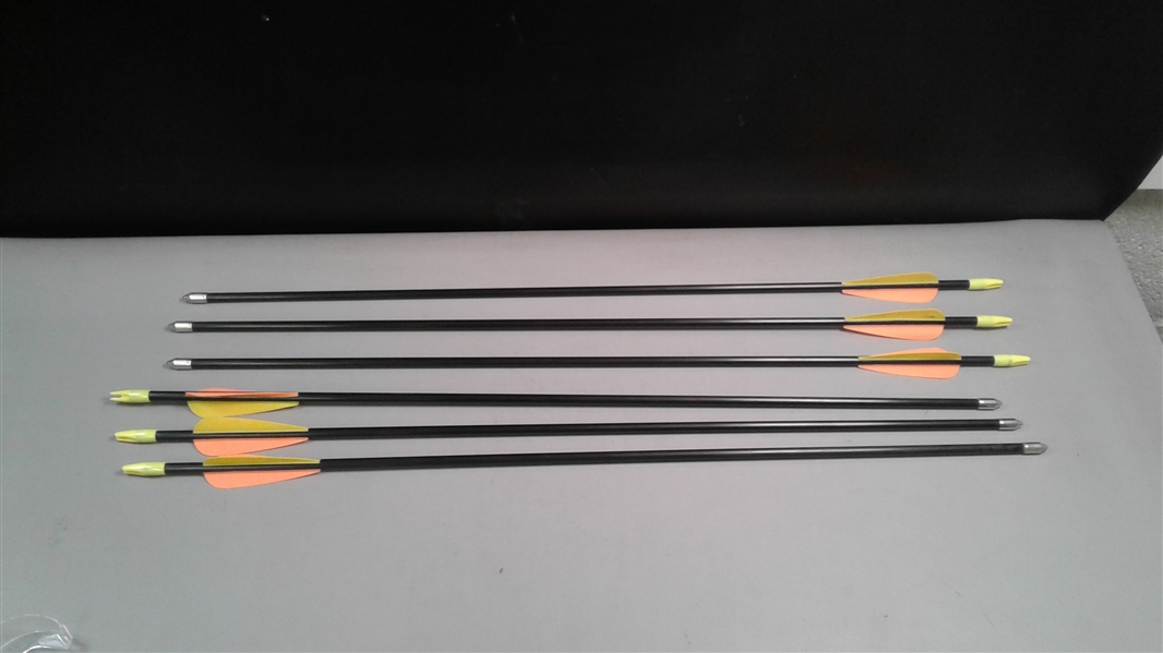 24 Fiberglass Arrows- 6 Pk