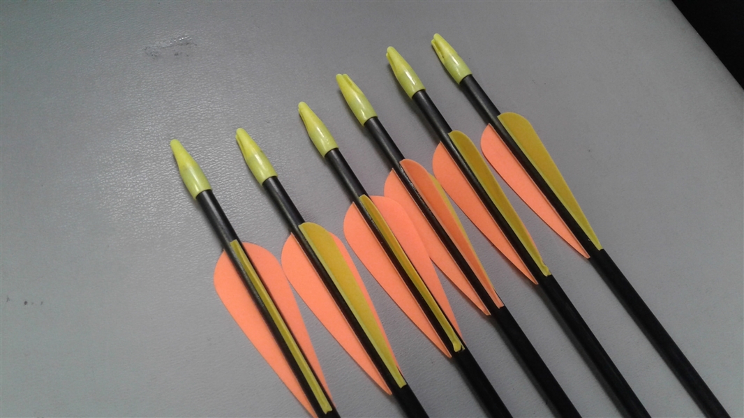 24 Fiberglass Arrows- 6 Pk