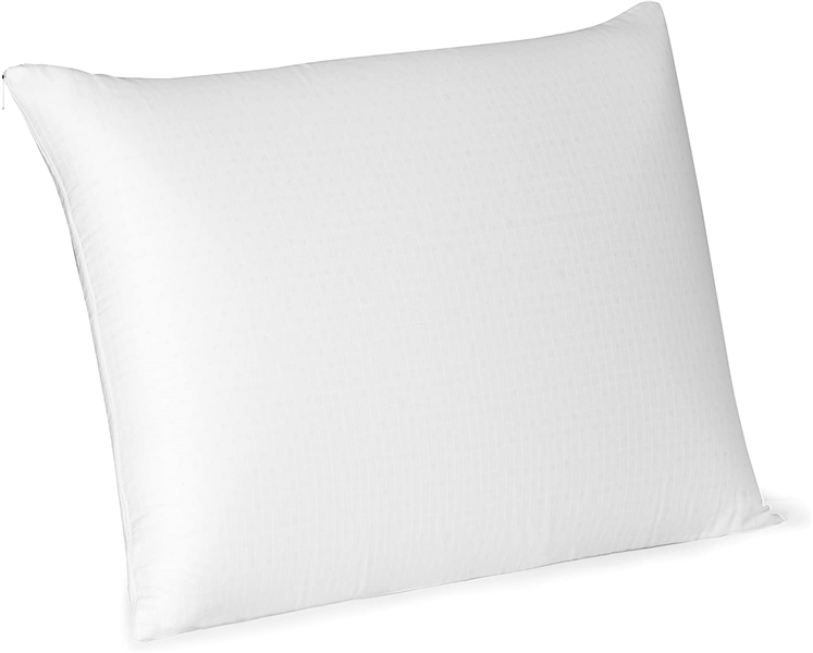 Latex Foam Pillow with Cover 