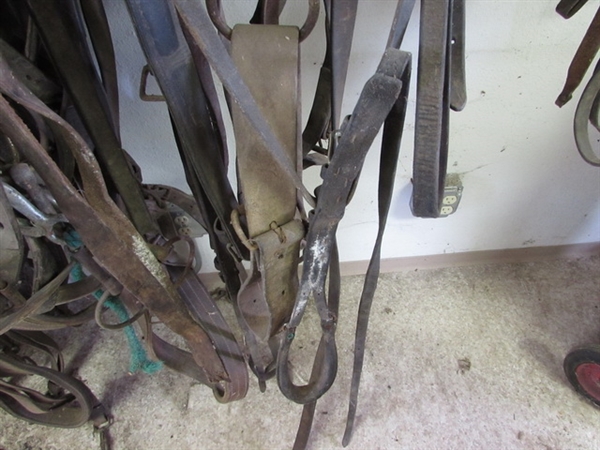 COLLARS, BLINDER WITH HEADSTALL