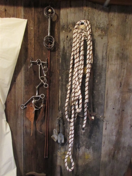 BITS, SPURS & BOSALITA WITH LEAD ROPE