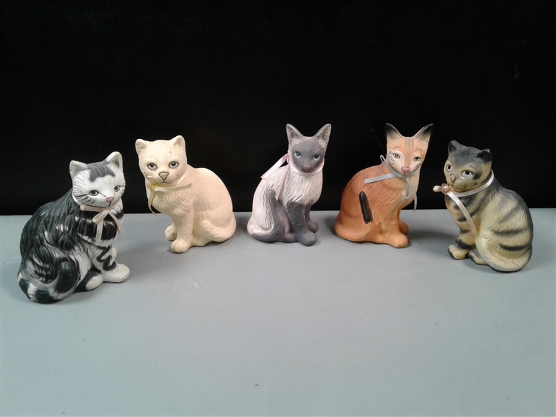 Collection of Cats
