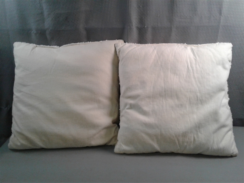 6 Accent Pillows 