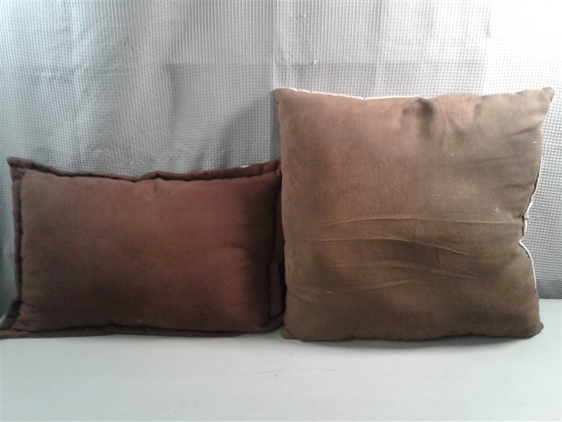 6 Accent Pillows 