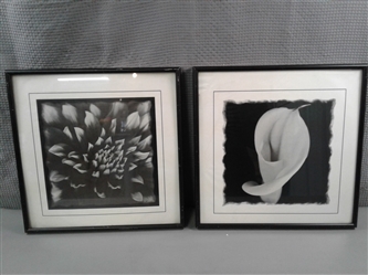 Two Black and White Flower Pictures 