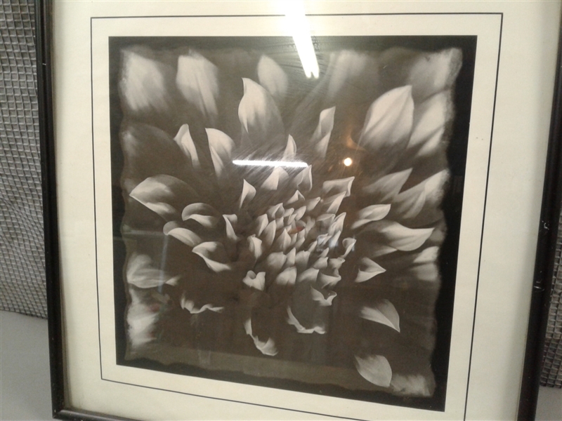 Two Black and White Flower Pictures 