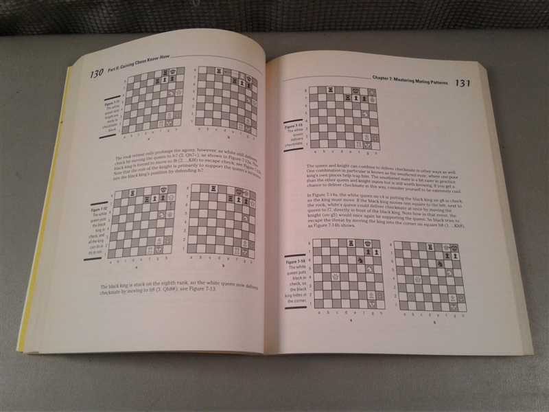 Chess FOR DUMMIES Book