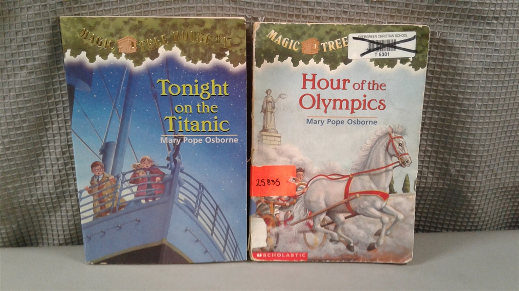 Kids Chapter Books: Magic Treehouse, Boxcar Children, Etc