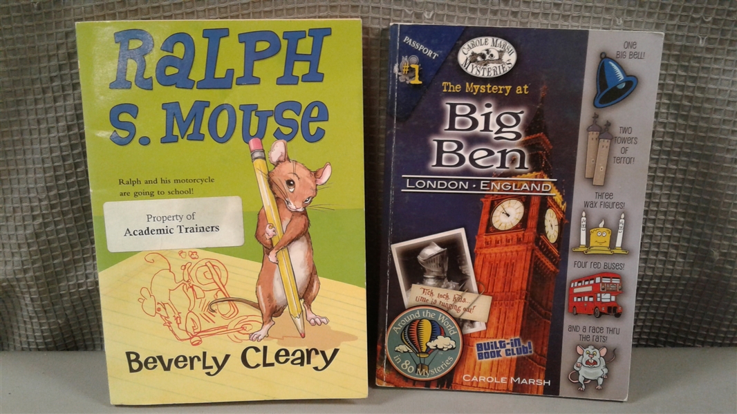 Kids Chapter Books: Magic Treehouse, Boxcar Children, Etc