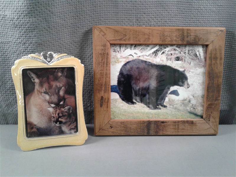 Rustic Framed and Signed Picture of Shasta Bear and Framed Big Cat picture