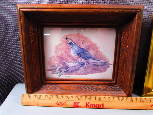Framed Dried Flower Pictures and Quail