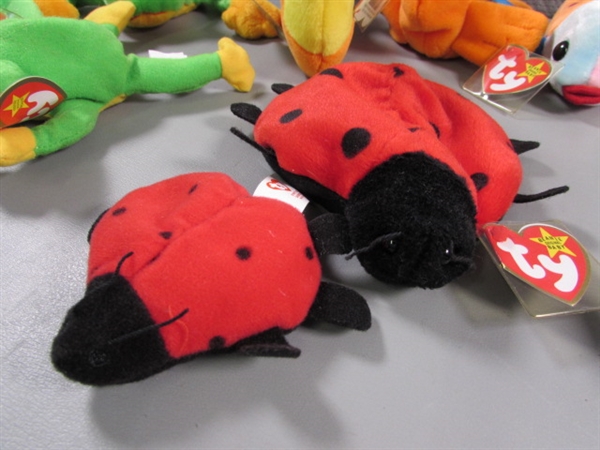 TY BEANIE BABIES - FROGS, FISH & BUGS
