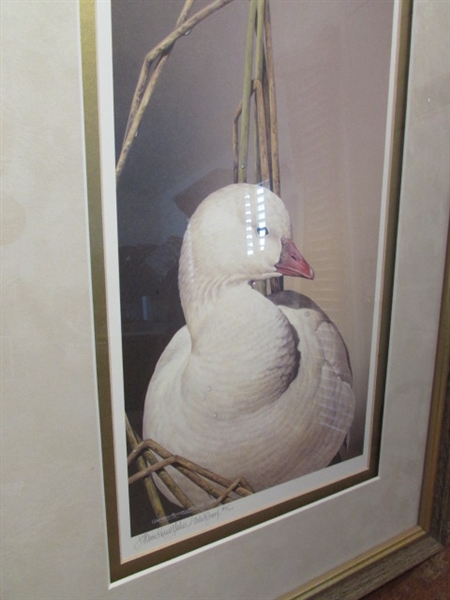 SIGNED & NUMBERED DUCK PRINT #36/100 BY SHERRIE RUSSELL MELINE