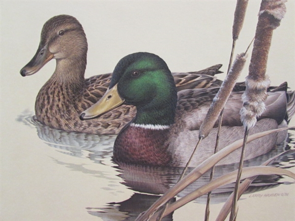 DUCKS UNLIMITED STAMP PRINTS AND ONE STAMP BY DAVID MAAS 3563/22,250 SAVE WETLANDS