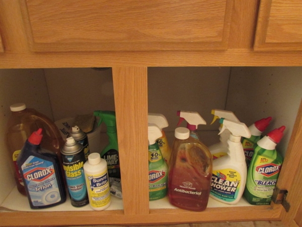 BATHROOM CLEANING SUPPLIES