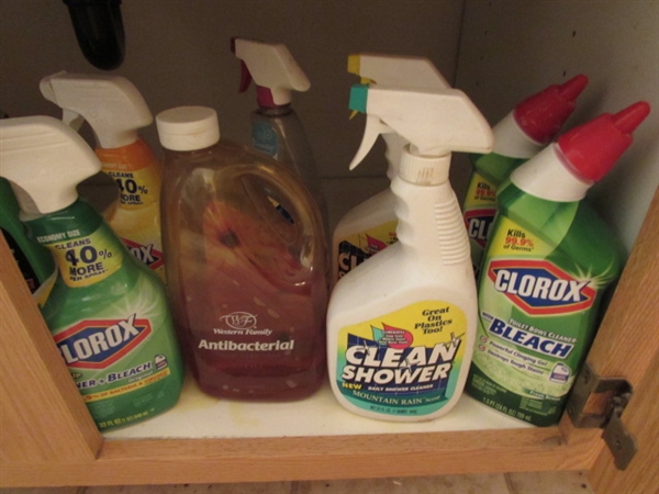 BATHROOM CLEANING SUPPLIES