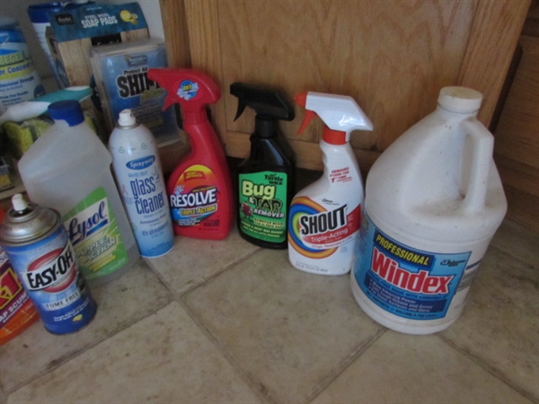 LARGE ASSORTMENT OF KITCHEN AND LAUNDRY CLEANING SUPPLIES