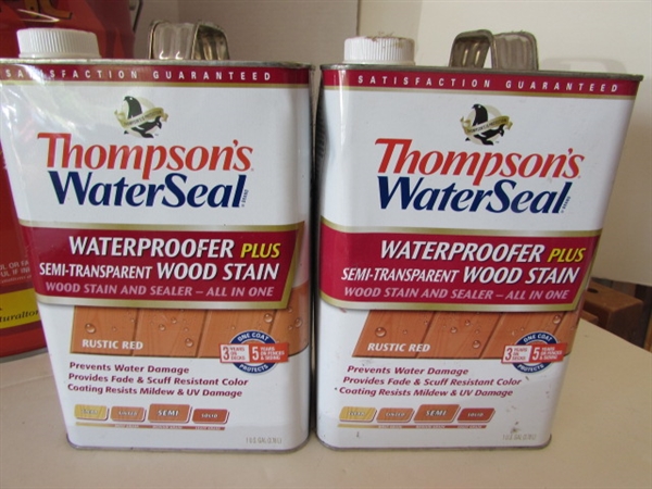 WOOD PROTECTOR THOMPSON'S WATERSEAL DANISH OIL & MORE