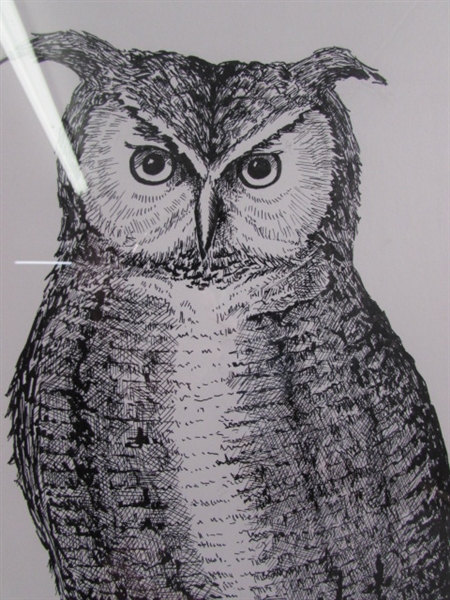 PEN & INK OWL DRAWING BY BJ SOS