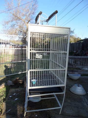 BIRD CAGE FOR LARGE BIRD WITH DOUBLE PERCHES ON TOP