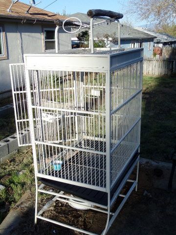 BIRD CAGE FOR LARGE BIRD WITH DOUBLE PERCHES ON TOP