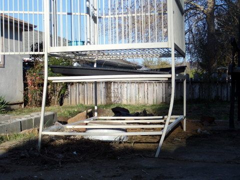 BIRD CAGE FOR LARGE BIRD WITH DOUBLE PERCHES ON TOP