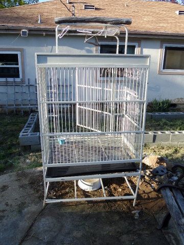 BIRD CAGE FOR LARGE BIRD WITH DOUBLE PERCHES ON TOP