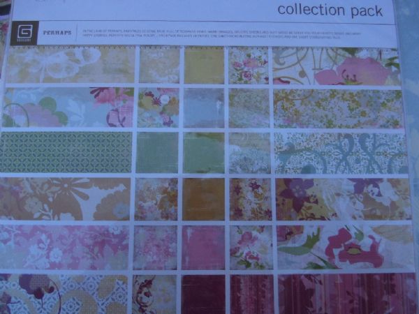 SCRAPBOOKING  ANNE GRIFFIN CARD STOCK,  STAMPS, DYE CUTS,  SCRAPBOOK AND MORE