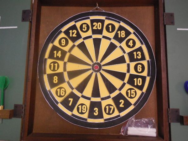 NEARLY NEW WALL MOUNT DART BOARD IN CABINET