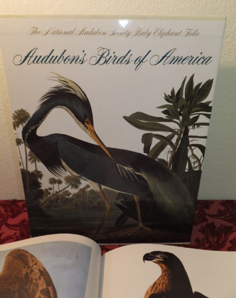 AUDUBON'S BIRDS OF AMERICA - THE NATIONAL AUDUBON SOCIETY BABY ELEPHANT FOLIO