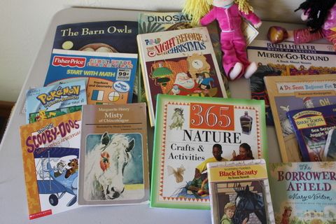 SELECTION OF CHILDREN'S BOOKS,  NEW RAG DOLL BUNNY, TY DOLL AND MORE