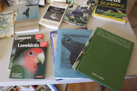 BIRD LOVERS BOOK SELECTION, BIRD WATCHING AND PARROT CARE