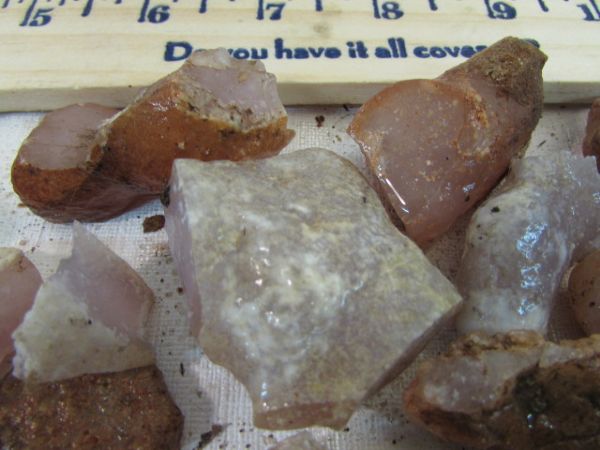 AGATES FOR CUTTING OR TUMBLING